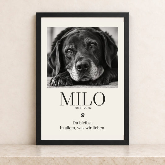 Milo – schwarzer Rahmen 40x30 cm, quadratisches Mockup