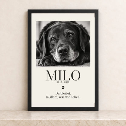Milo – schwarzer Rahmen 80x60 cm, quadratisches Mockup